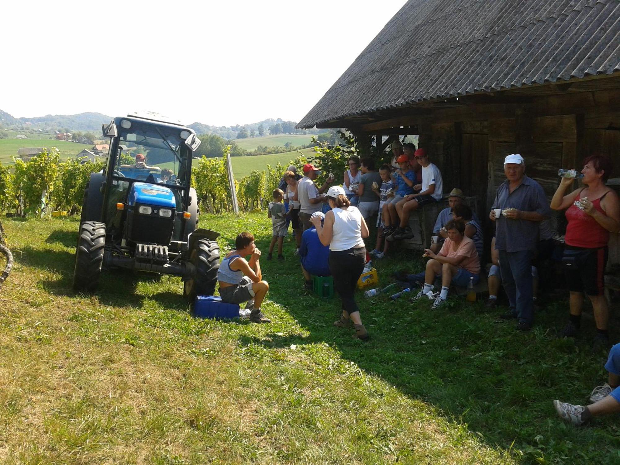Grobelnik Tourist Farm Sevnica Exterior foto